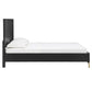 Low Profile Platform Bed - Black Finish, Gold Accent, Queen